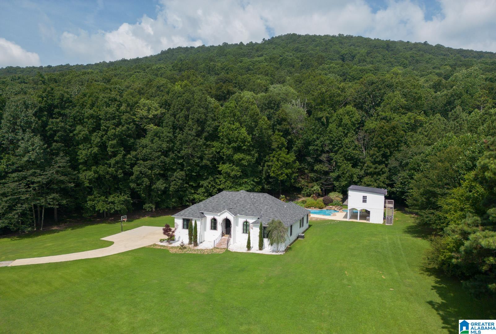 15442 Gallant Road Gallant, AL 35972 - Photo 53 of 54