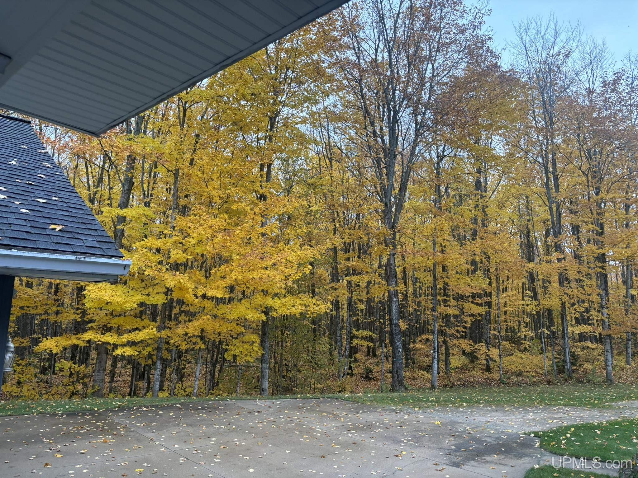 N7776 Carmody Road Munising, MI 49862 - Photo 24 of 42