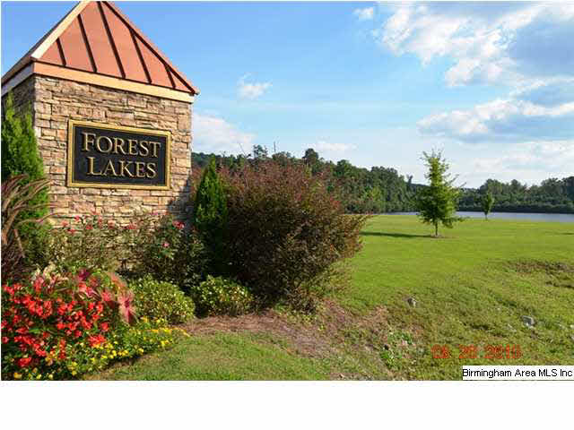 4042 Forest Lakes Road Sterrett, AL 35147 - Photo 29 of 30