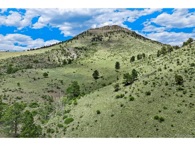 a view of a large yard with lots of green space