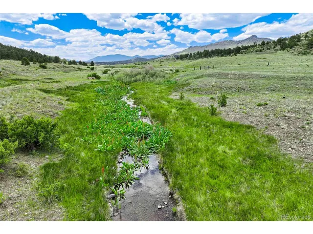 a view of a lush green outdoor space with a mountain