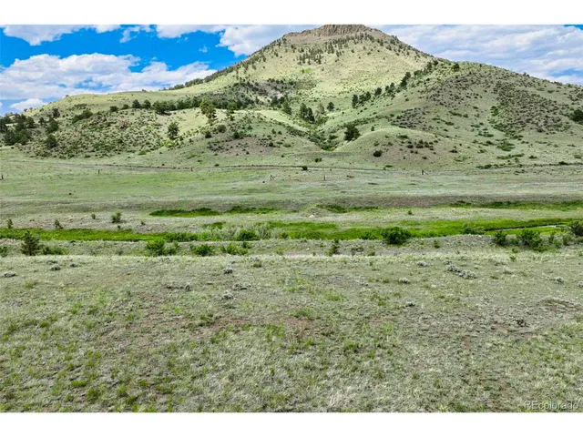 a view of a field with a mountain