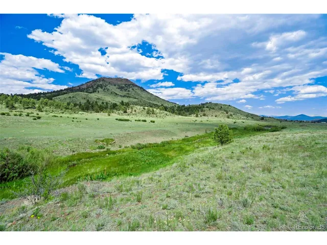 a view of grassy field with mountain