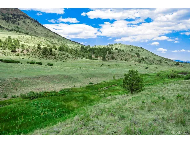 a view of a lush green space