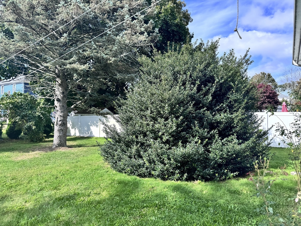 77 Grattan Street Fall River, MA 02721 - Photo 4 of 20 a view of yard with green space