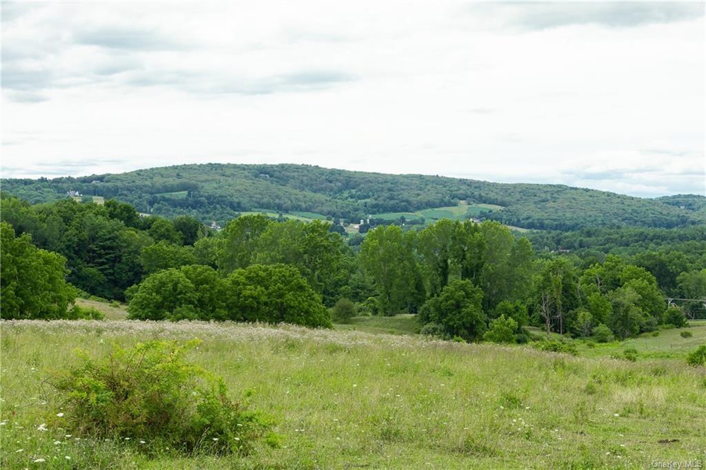 Yonderview Road Hillsdale, NY 12529 - Photo 4 of 13 LOOKING WEST