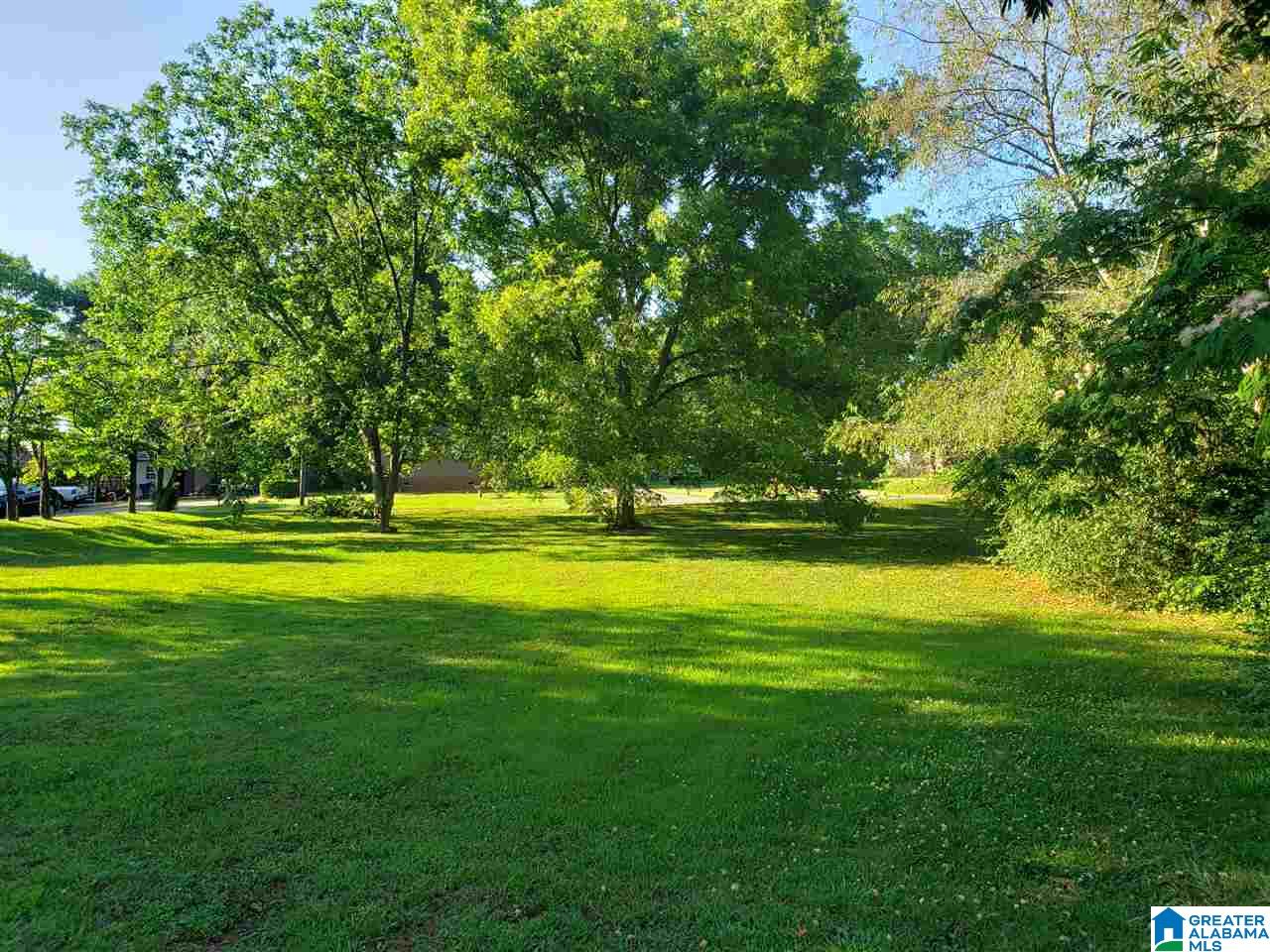 1101 Virginia Avenue Talladega, AL 35160 - Photo 9 of 19