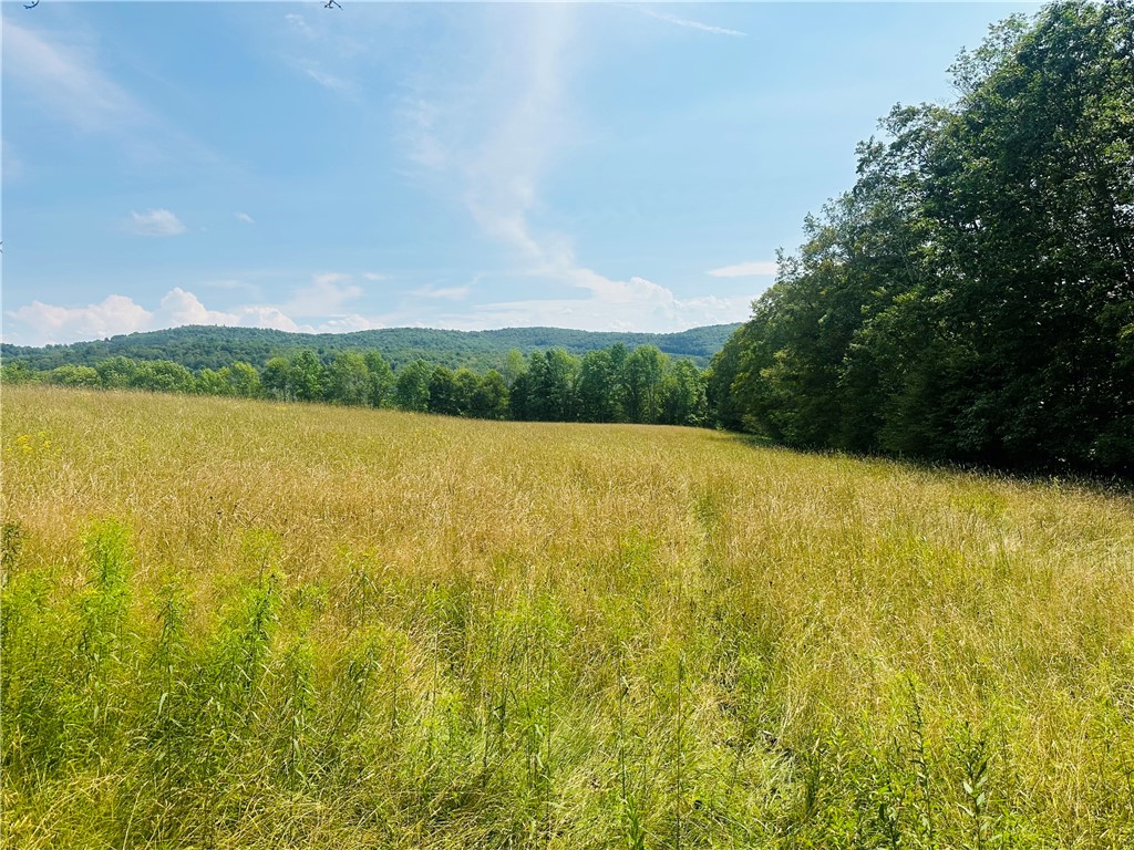 1947 Herrick Hollow Road Tompkins, NY 13839 - Photo 3 of 8