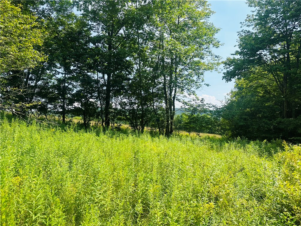 1947 Herrick Hollow Road Tompkins, NY 13839 - Photo 4 of 8