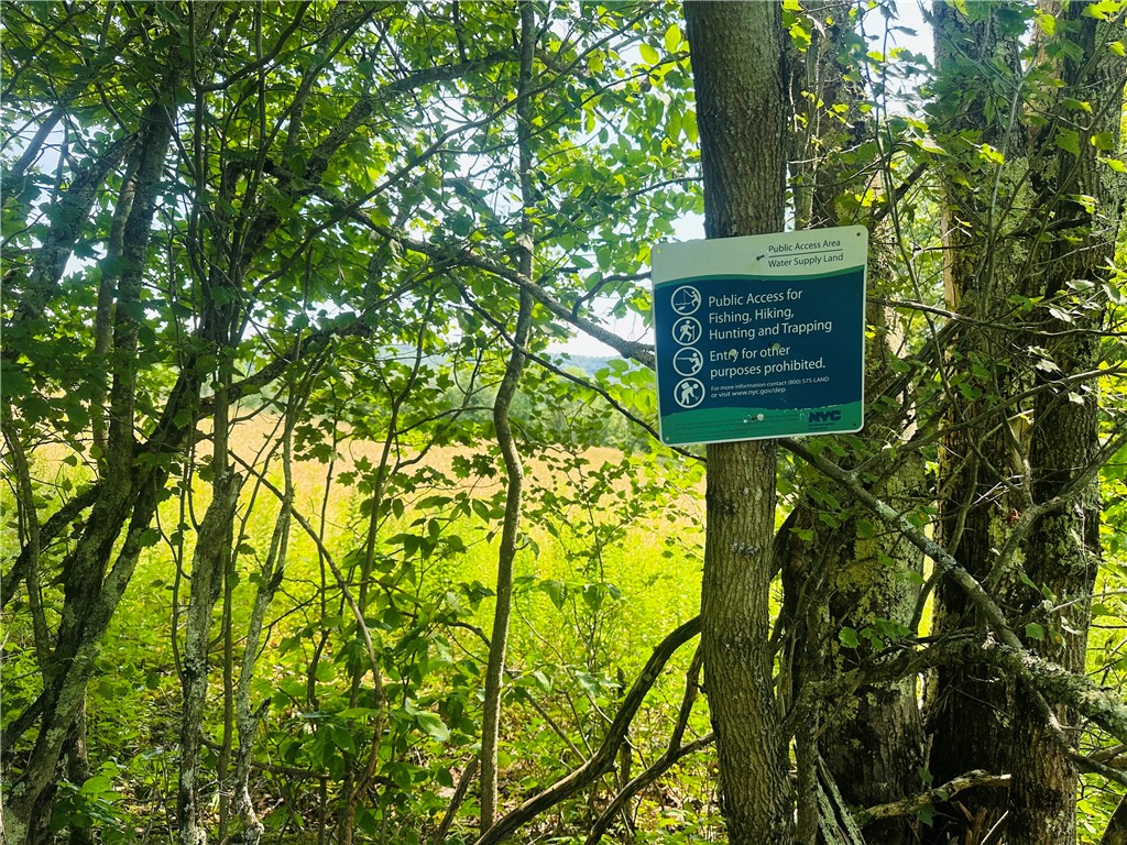 1947 Herrick Hollow Road Tompkins, NY 13839 - Photo 5 of 8