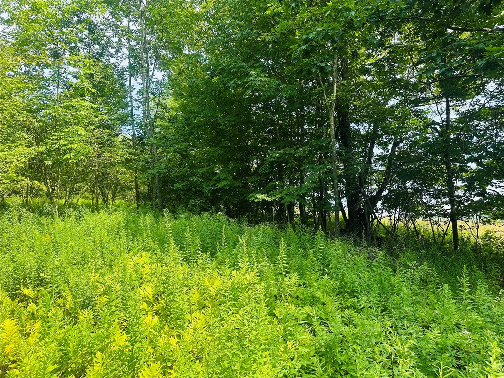 1947 Herrick Hollow Road Tompkins, NY 13839 - Photo 6 of 8