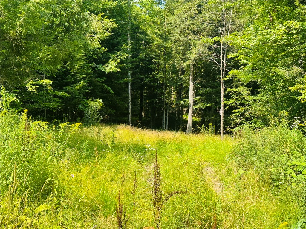 1947 Herrick Hollow Road Tompkins, NY 13839 - Photo 8 of 8