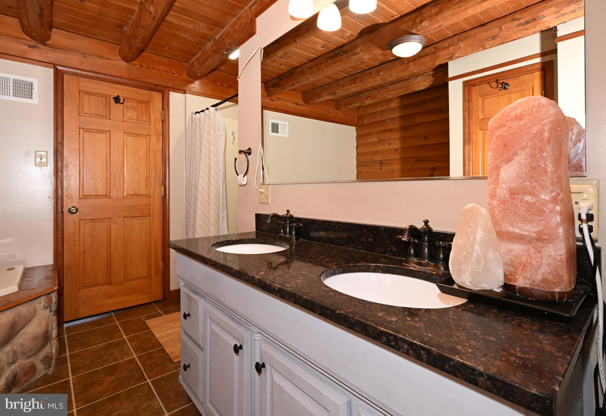 8051 Old Receiver Road Frederick, MD 21702 - Photo 22 of 54 Spacious primary bathroom with double sinks