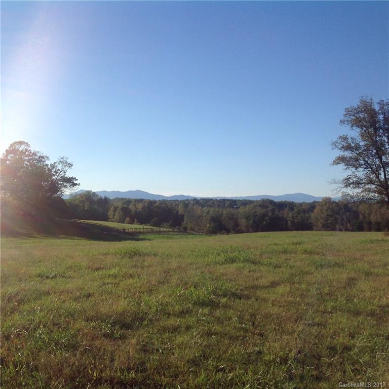 17.71 Radar Road Rutherfordton, NC 28139 - Photo 6 of 9 a view of grassy field with trees