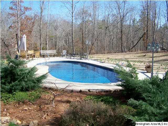 2520 Charlie Penny Road Piedmont, AL 36272 - Photo 6 of 32