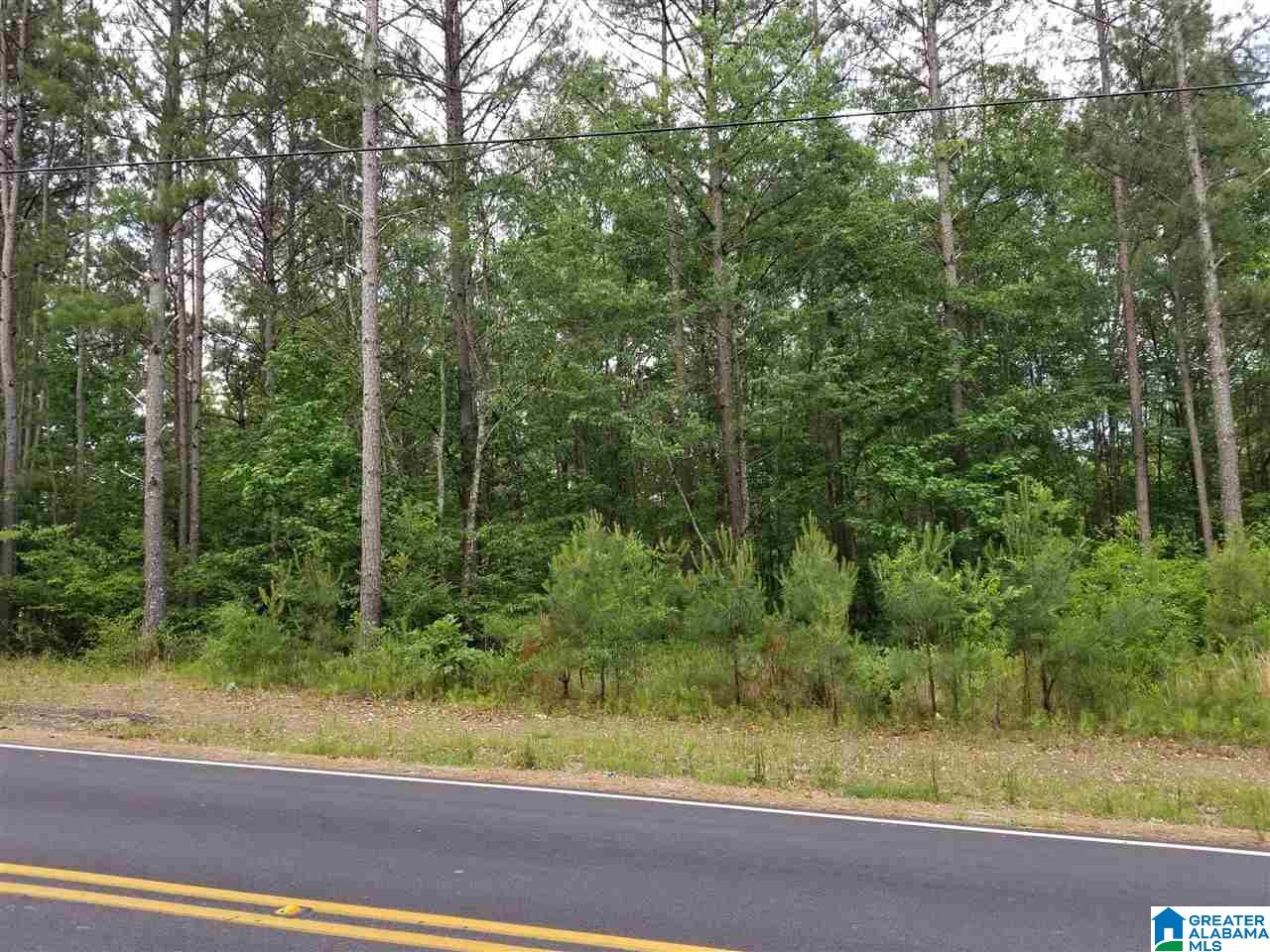 0 Pleasant Valley Road, Unit 8 42 Jacksonville, AL 36265 - Photo 8 of 10