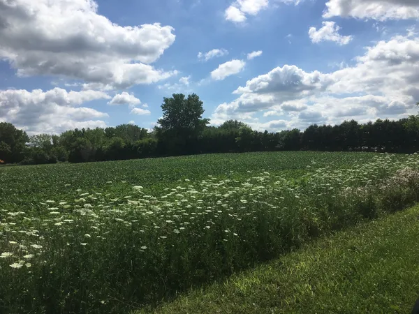 $862,488 | Lot 1 Koppie Road, Gilberts, IL 60136