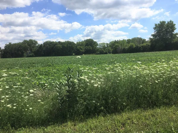 $862,488 | Lot 1 Koppie Road, Gilberts, IL 60136