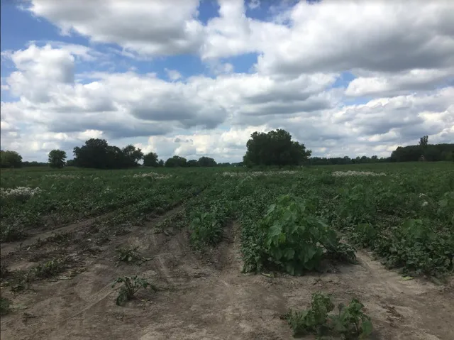 $862,488 | Lot 1 Koppie Road, Gilberts, IL 60136