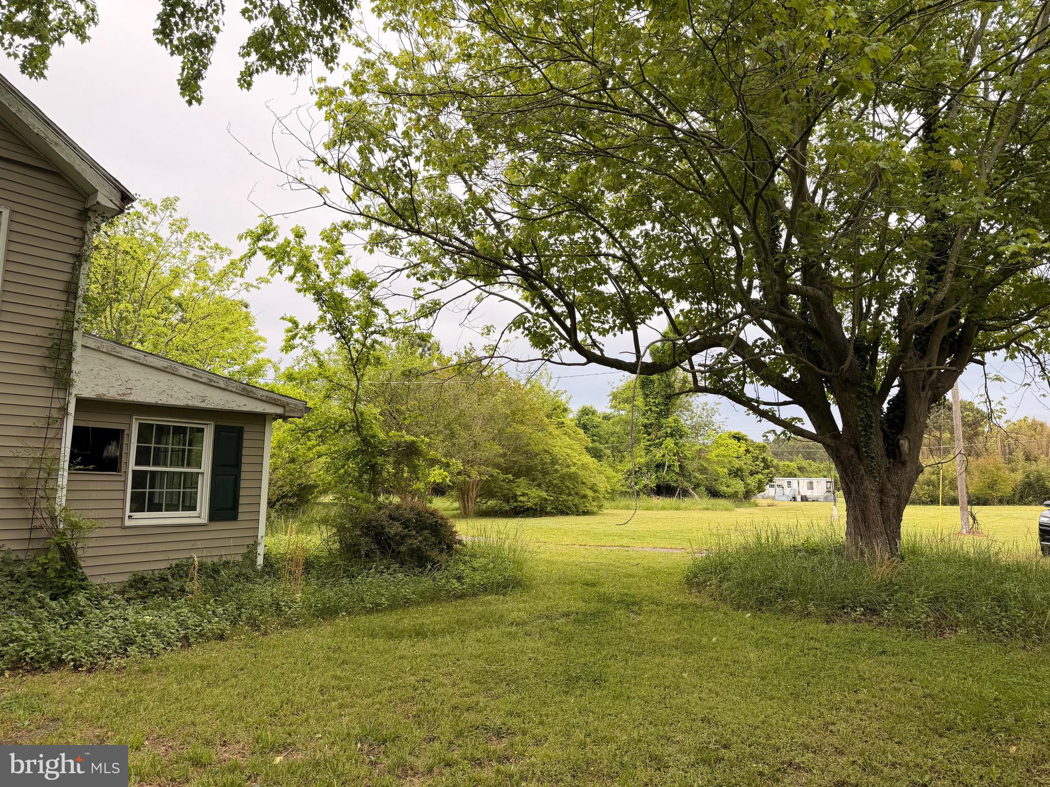 23686 Earl Webster Road Chance, MD 21821 - Photo 12 of 14