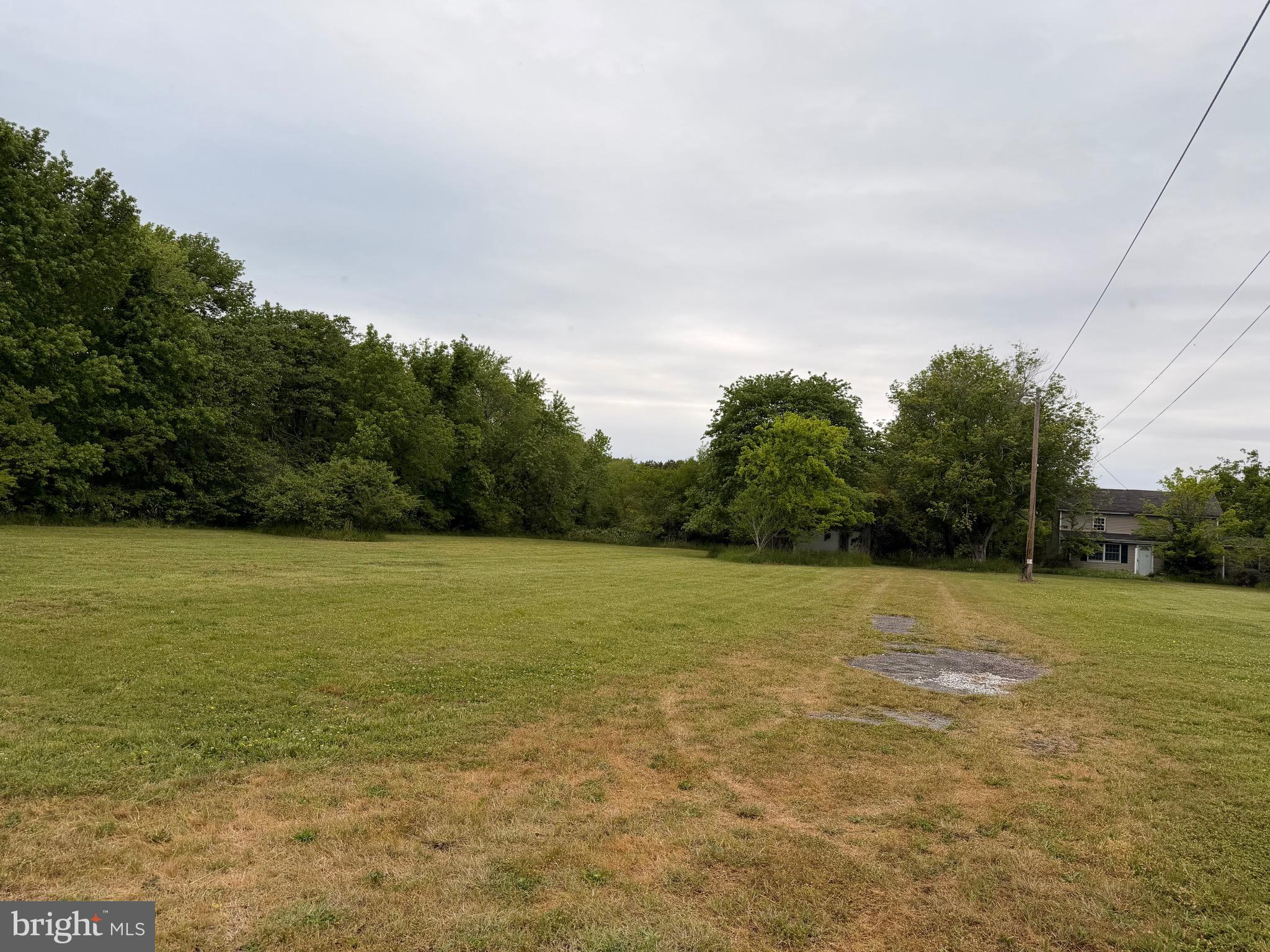 23686 Earl Webster Road Chance, MD 21821 - Photo 14 of 14