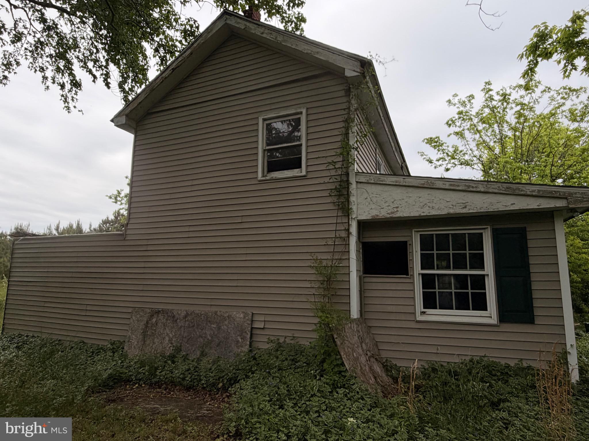 23686 Earl Webster Road Chance, MD 21821 - Photo 4 of 14
