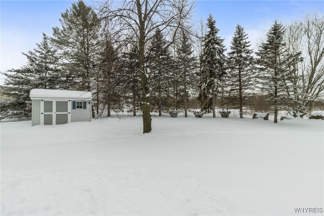 6338 Hamm Road Lockport Town, NY 14094 - Photo 47 of 49