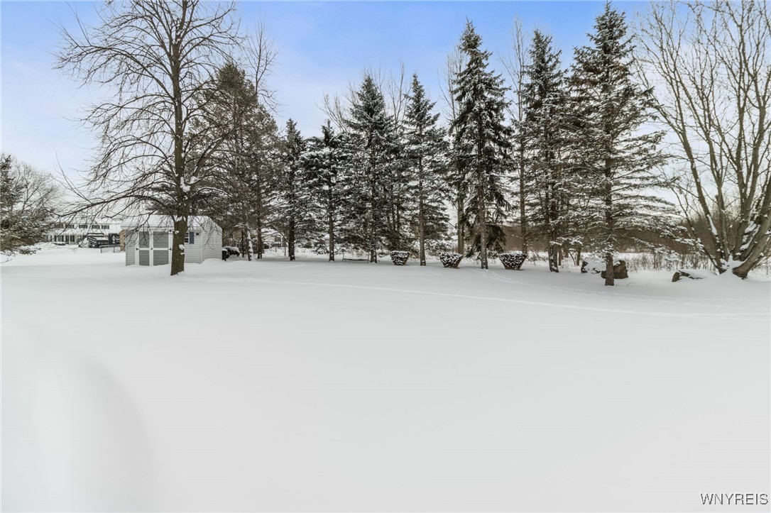 6338 Hamm Road Lockport Town, NY 14094 - Photo 48 of 49