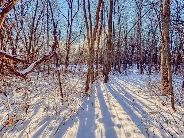 $279,900 | 3045 Nelson Road, Independence, MN 55328