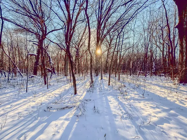 $279,900 | 3045 Nelson Road, Independence, MN 55328