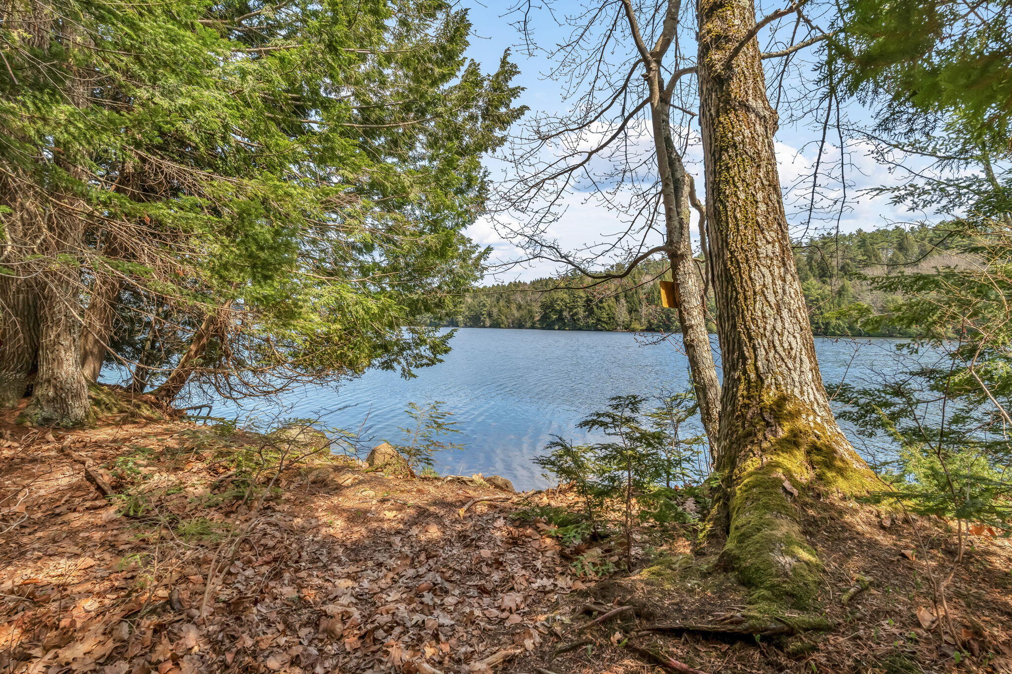 111 Clark Road China, ME 04358 - Photo 34 of 127 34-web-or-mls-111-clark-rd