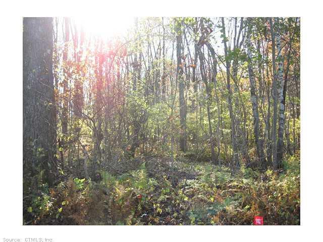 0 Good Hill Roxbury, CT 06783 - Photo 1 of 1