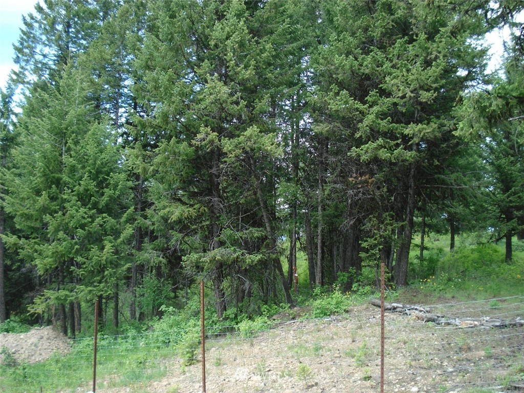 0 Lot 15 Union Ridge Road Republic, WA 99166 - Photo 2 of 5