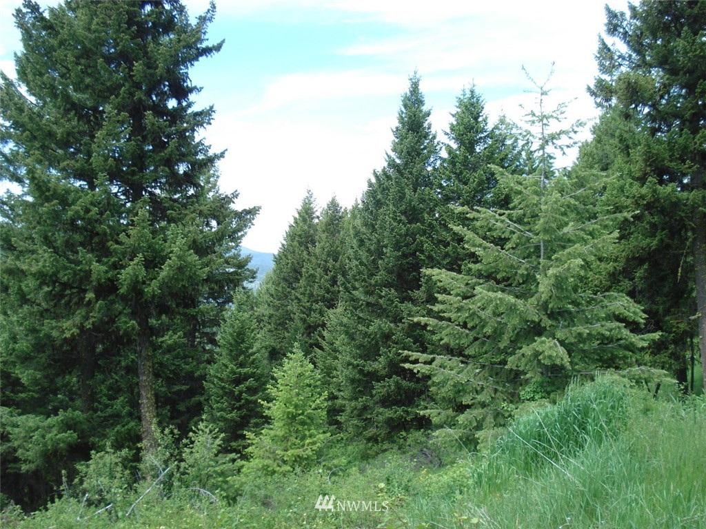 0 Lot 15 Union Ridge Road Republic, WA 99166 - Photo 4 of 5