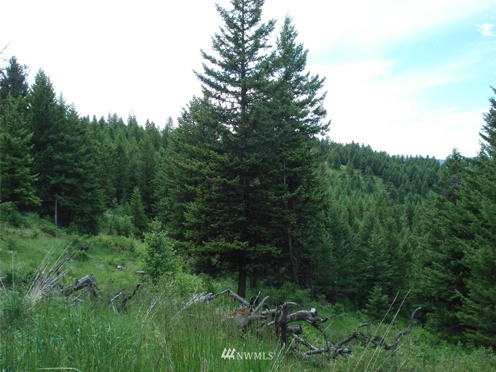 0 Lot 15 Union Ridge Road Republic, WA 99166 - Photo 5 of 5