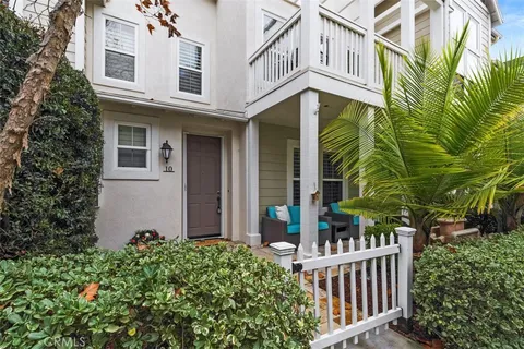 a park with large trees