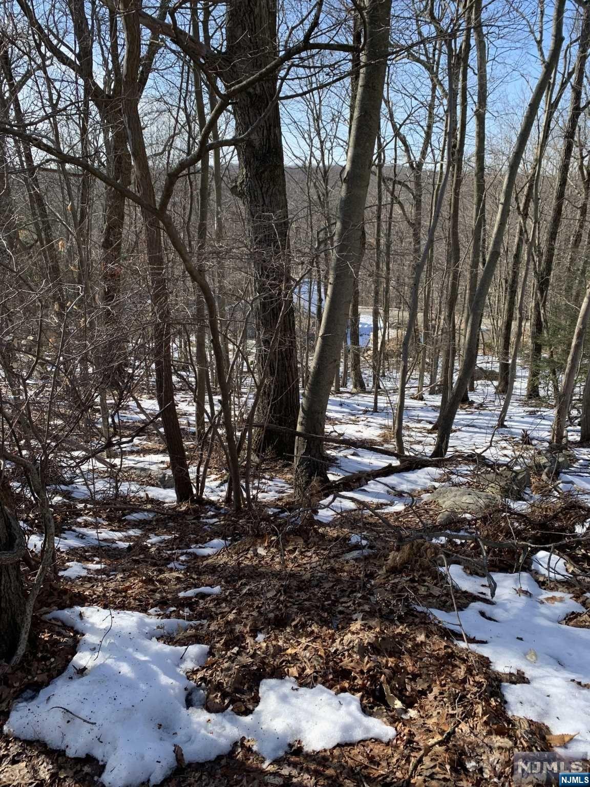 43 Hampton Road West Milford, NJ 07421 - Photo 2 of 5