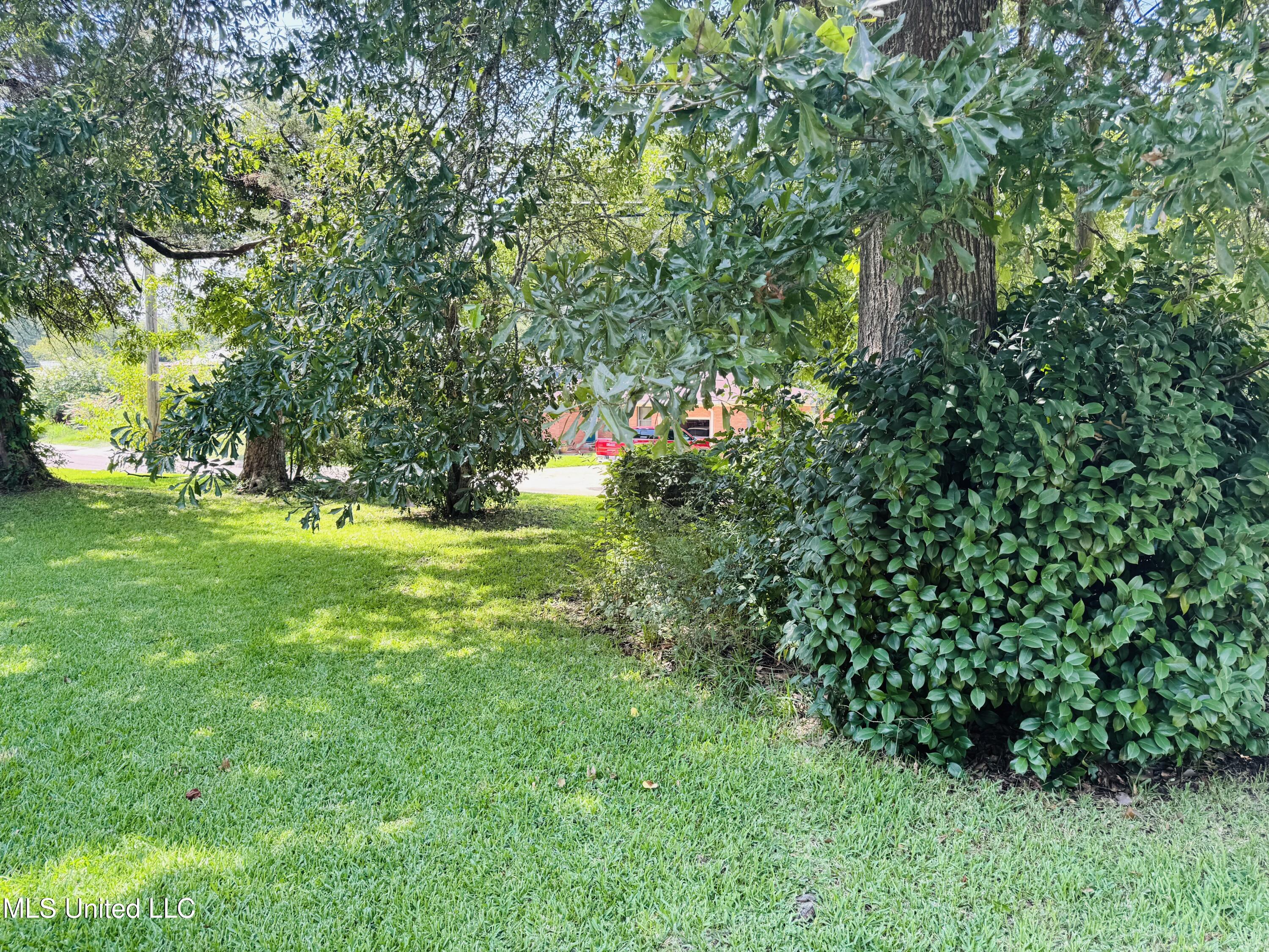 1117 Martin Luther King Junior Road Natchez, MS 39120 - Photo 20 of 25 IMG_6401
