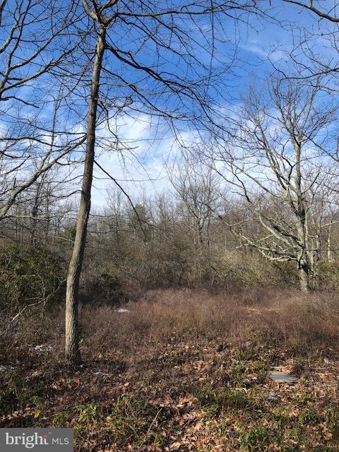 Ridge Road Newburg, PA 17240 - Photo 2 of 9 View