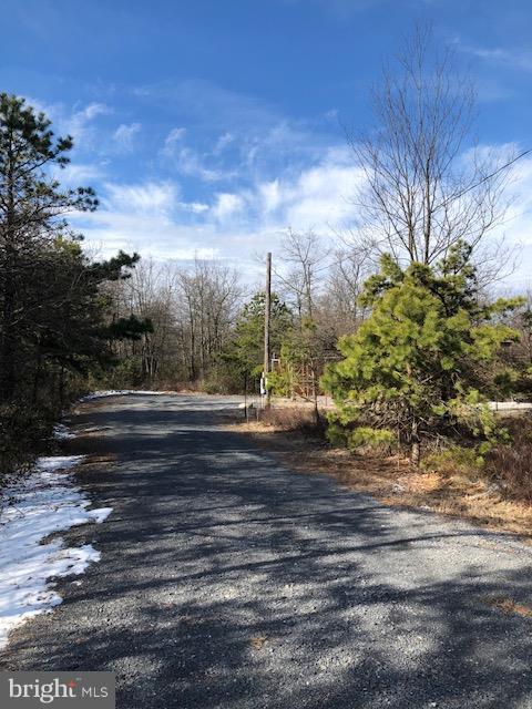 Ridge Road Newburg, PA 17240 - Photo 3 of 9 Lane to Ridge Rd from Property