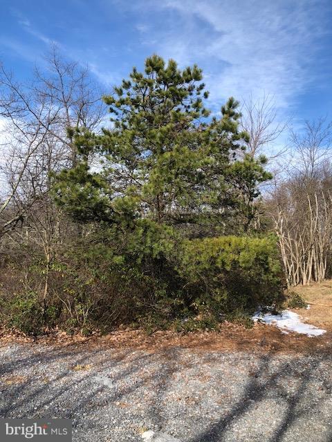 Ridge Road Newburg, PA 17240 - Photo 5 of 9 View