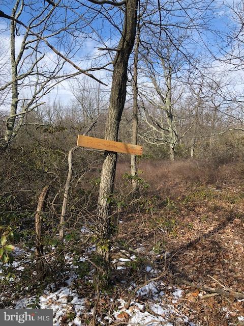 Ridge Road Newburg, PA 17240 - Photo 6 of 9 Perc Site
