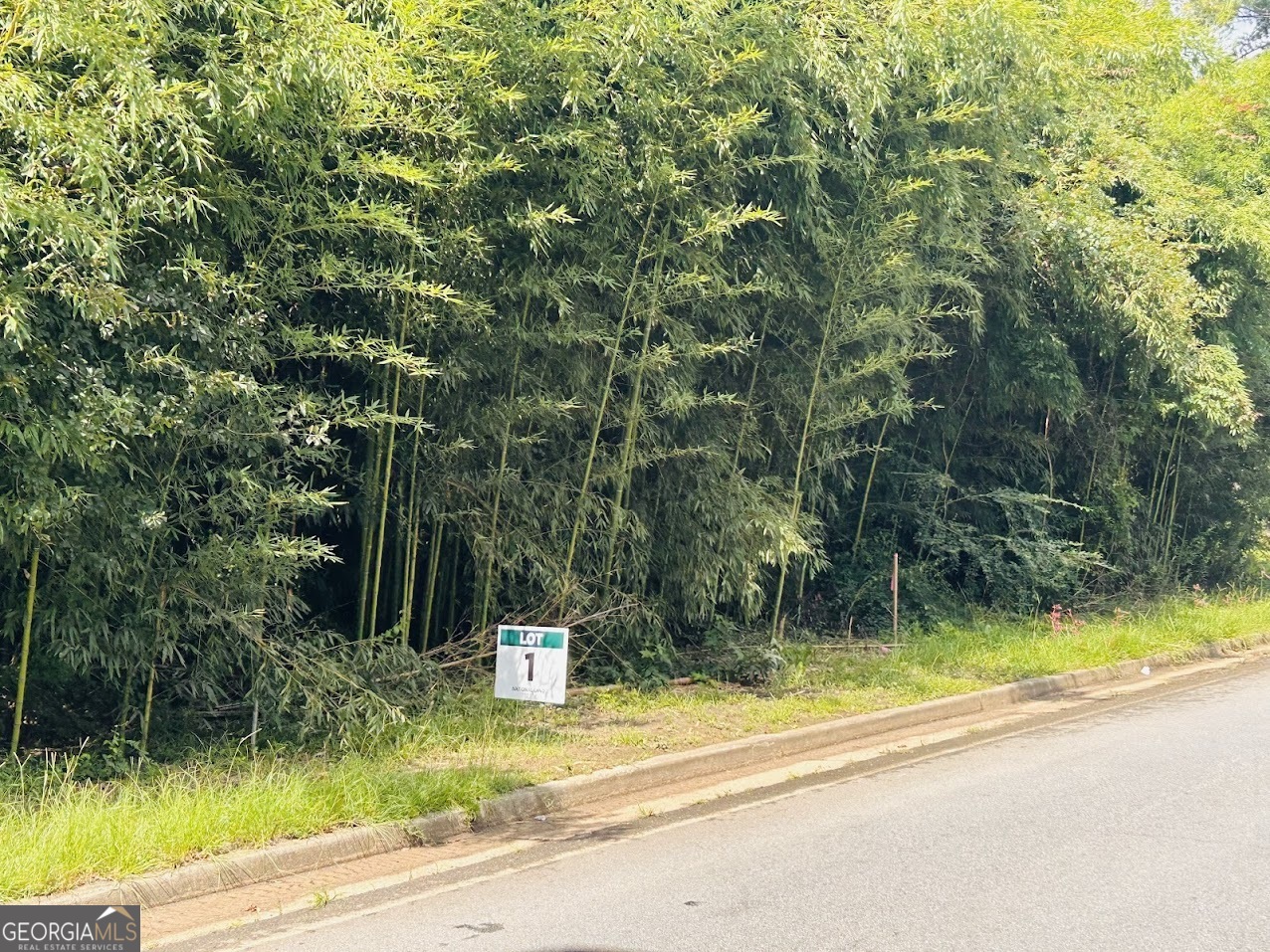 0 Kings Mill Road, Unit 1 Wrens, GA 30833 - Photo 4 of 24 a view of a swimming pool with a patio and a yard