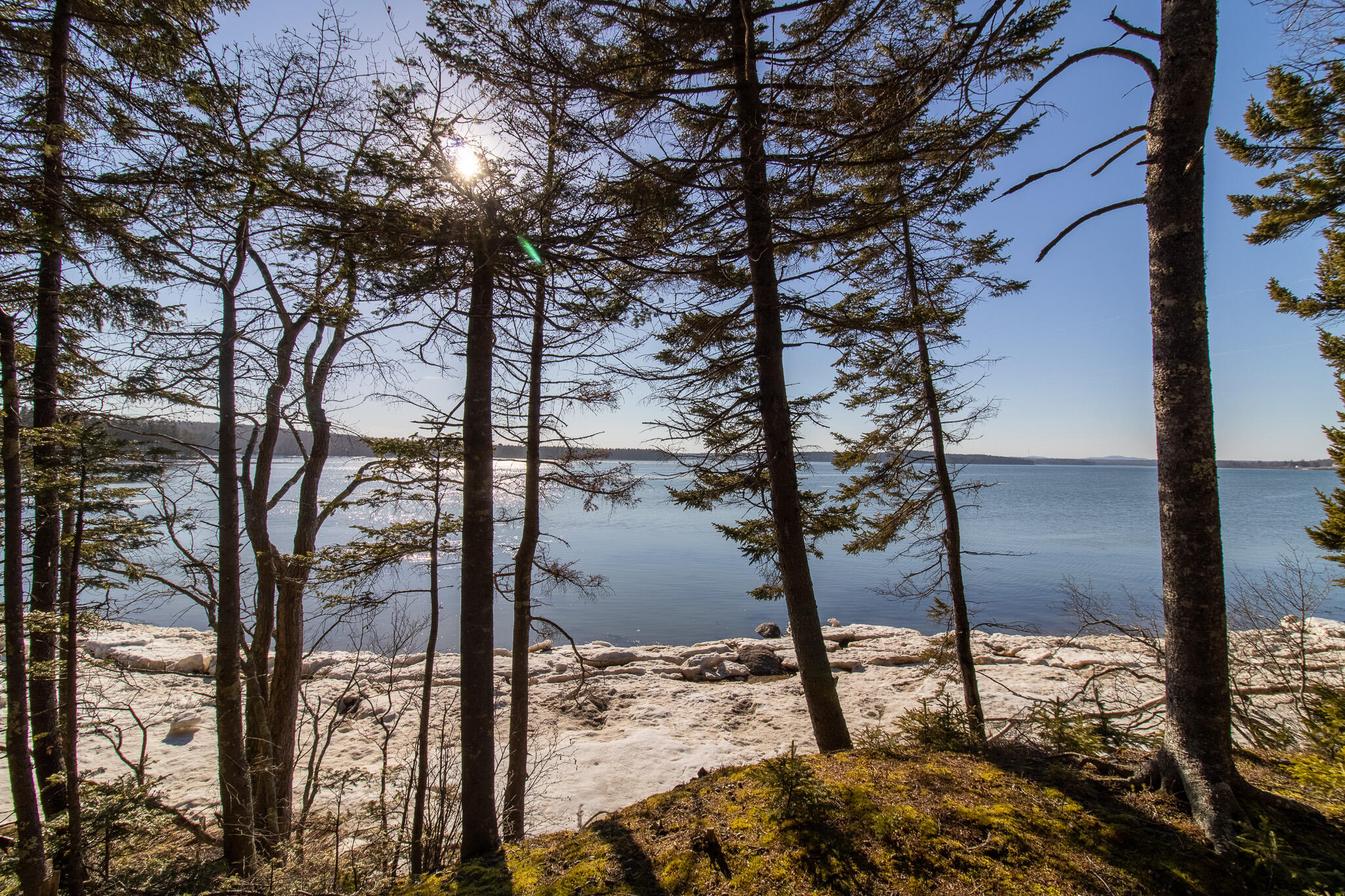 251 Ripley Neck Road Harrington, ME 04643 - Photo 9 of 18