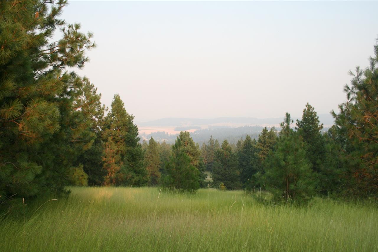 0 Quail Ridge Way Deer Park, WA 99006 - Photo 11 of 15 Gallery Image 11