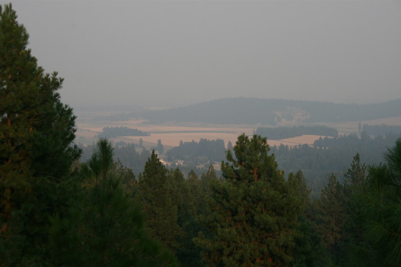 0 Quail Ridge Way Deer Park, WA 99006 - Photo 14 of 15 Gallery Image 14