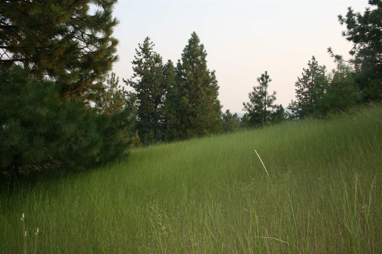 0 Quail Ridge Way Deer Park, WA 99006 - Photo 10 of 15 Gallery Image 10