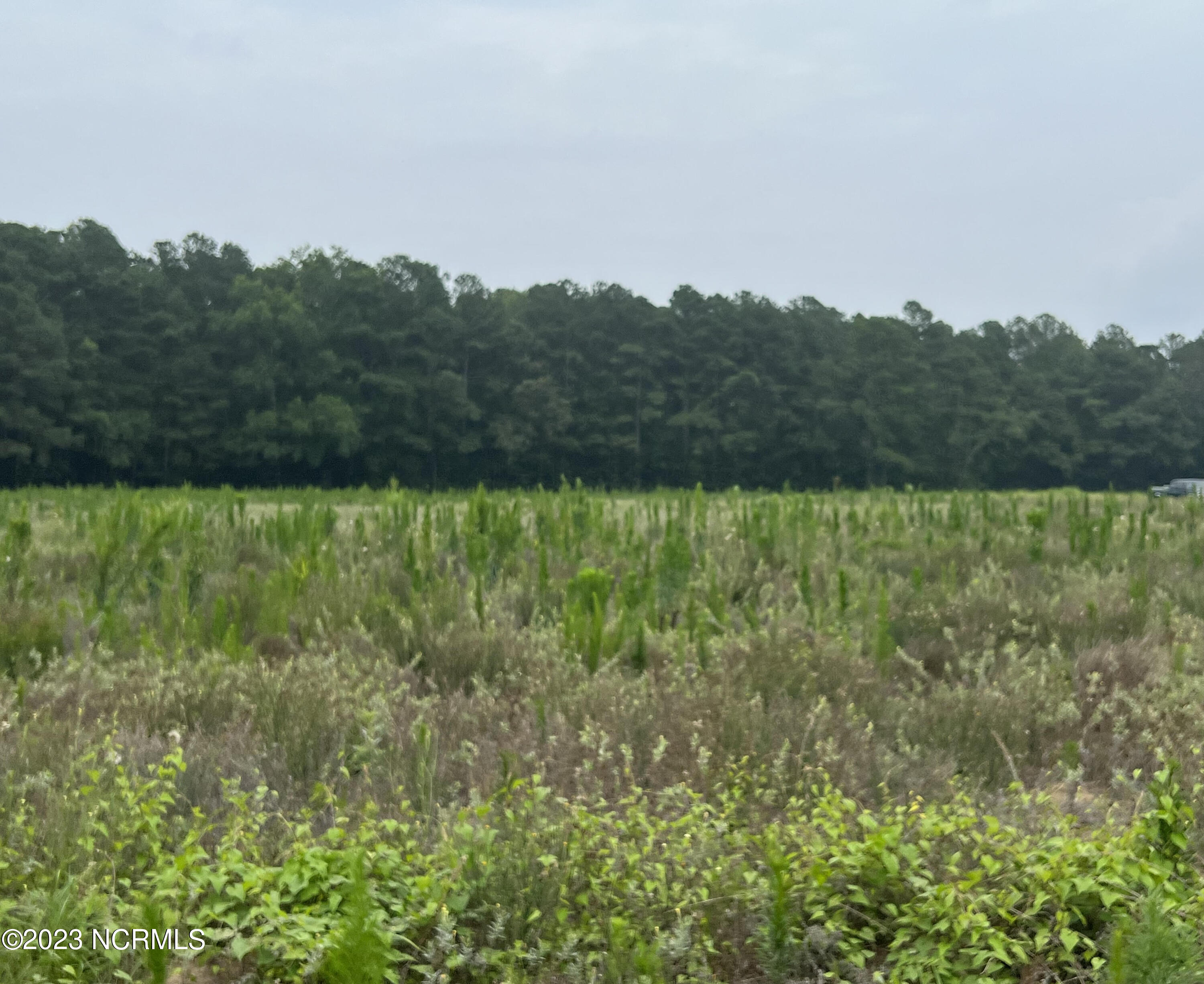 0 Siversten Road Autryville, NC 28318 - Photo 1 of 2 Siversten 2