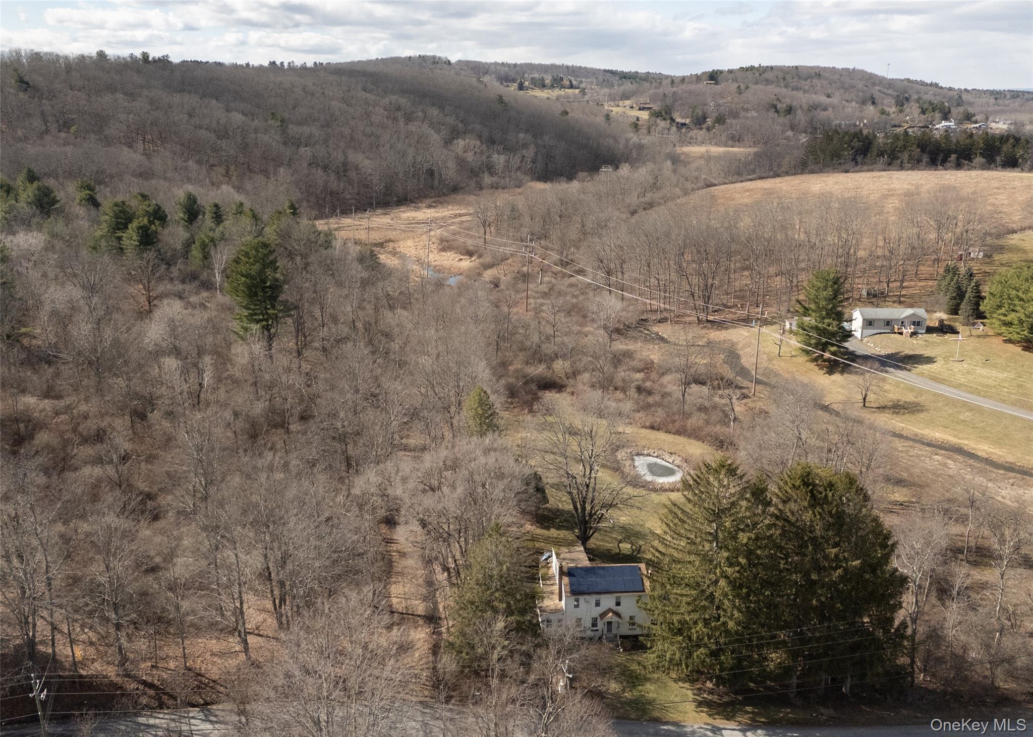 26 Bloody Hill Road Craryville, NY 12521 - Photo 2 of 18