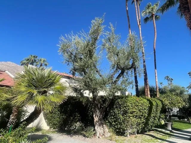 $345,000 | 1470 South Camino Real, Palm Springs, CA 92264